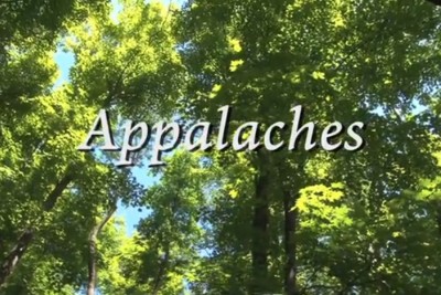 La forêt appalachienne