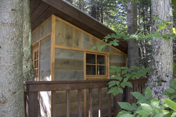 Détails du côté de la cabane