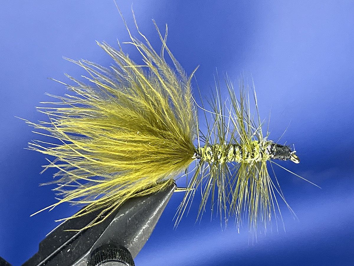 Woolly Bugger