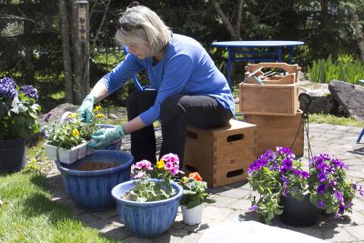 Boîtes à outils de jardin